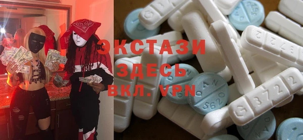 ECSTASY Богданович