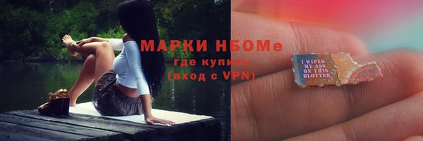 ECSTASY Богданович