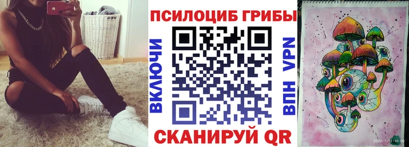 Галлюциногенные грибы Psilocybe  darknet телеграм  Бикин 